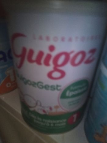 Guigozgest1