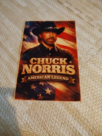 Plaque publicitaire motif chick Norris neuf 