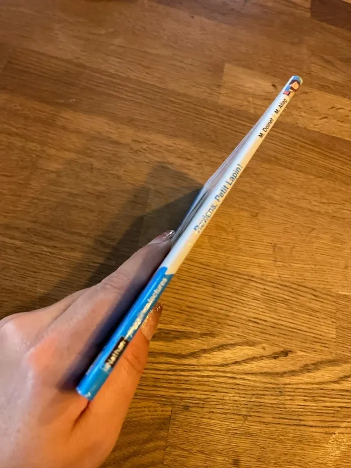 Livre premières lectures Les animaux de Lou Reviens Petit Lapin ! - photo numéro 2