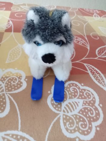 Peluche "husky sur ski "