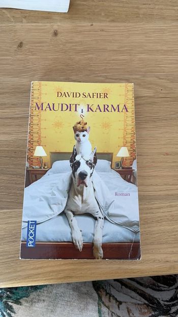 Livre maudit, karma, David safier