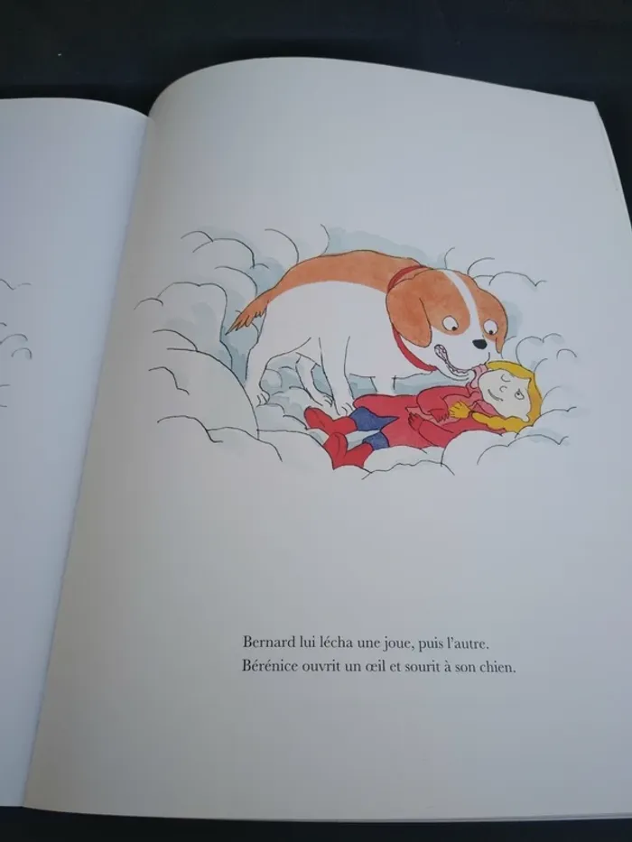Livre Enfant Chien Bernard - photo numéro 2
