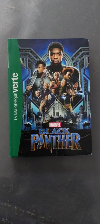 Black panthère bibliothèque verte