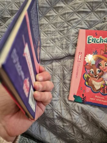 Livre bibliothèque Rose 