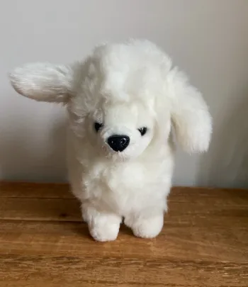 🤍 Peluche chien caniche 🐩 blanc
