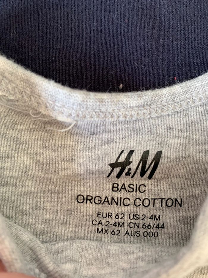 Lot 3 bodys 6 mois - photo numéro 2