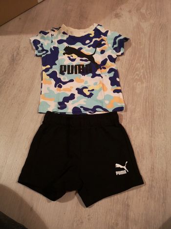 Ensemble puma