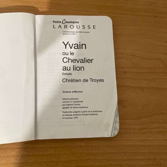 Yvain ou le chevalier au lion - photo numéro 3