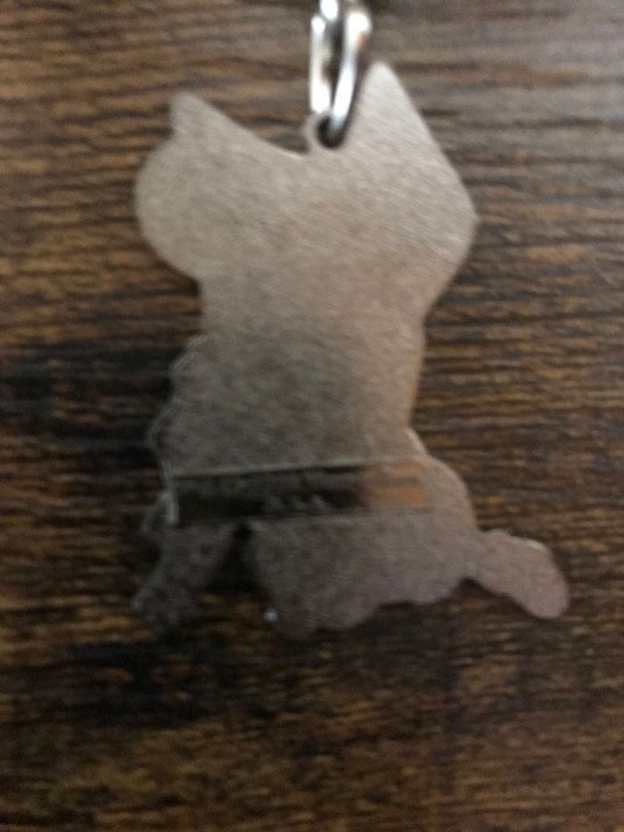 Porte clé Looney Tunes Coyote Warner bros 2000 - photo numéro 4