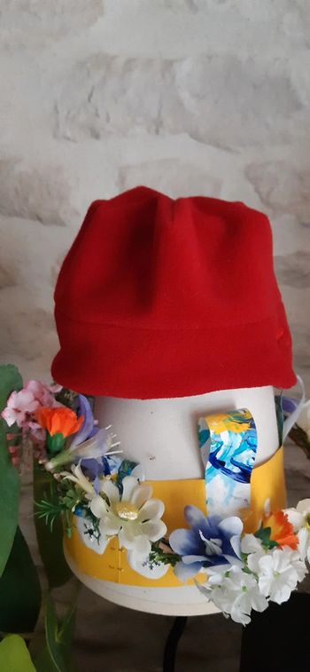 Bonnet polaire rouge