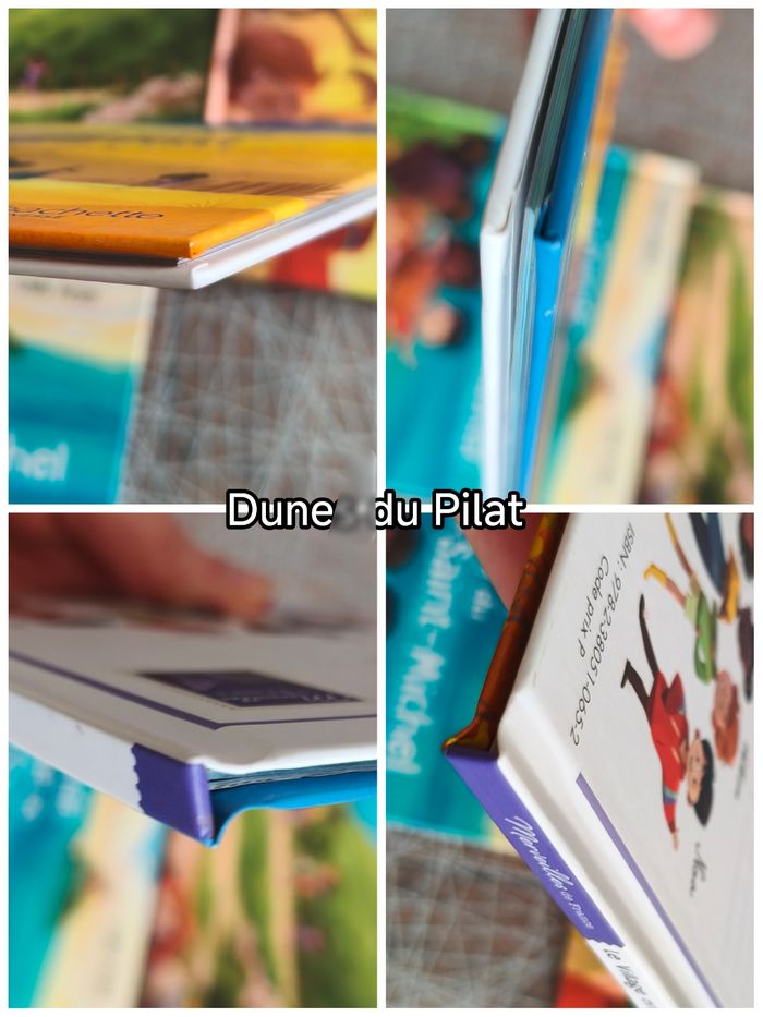 6 livres merveilles de france - photo numéro 4