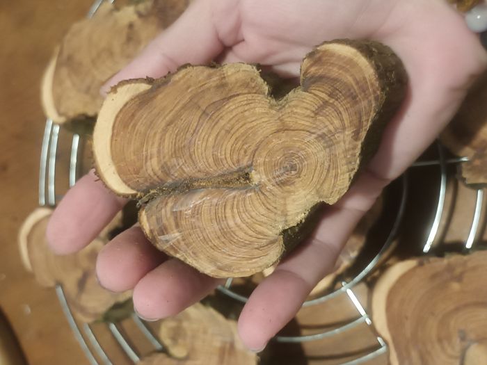 Lot de 6 anti mites naturel de bois de cade - photo numéro 4