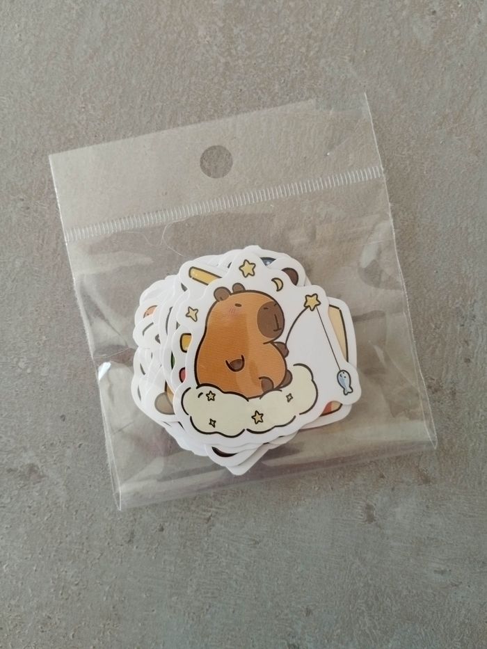 Lot x20 stickers autocollants Capybara - photo numéro 2