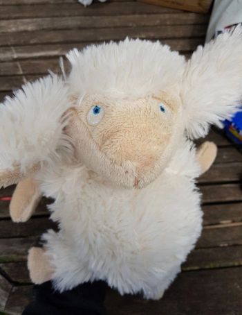 Mouton