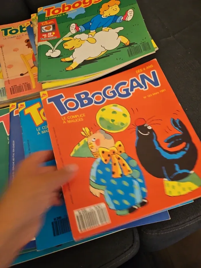 Magasines toboggan - photo numéro 2