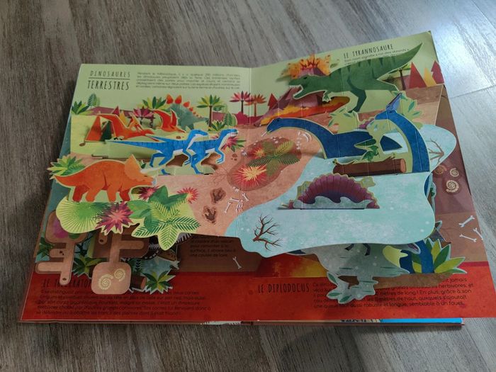 Livres dinosaures illustrés - photo numéro 2