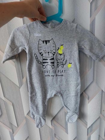 pyjama gris chat