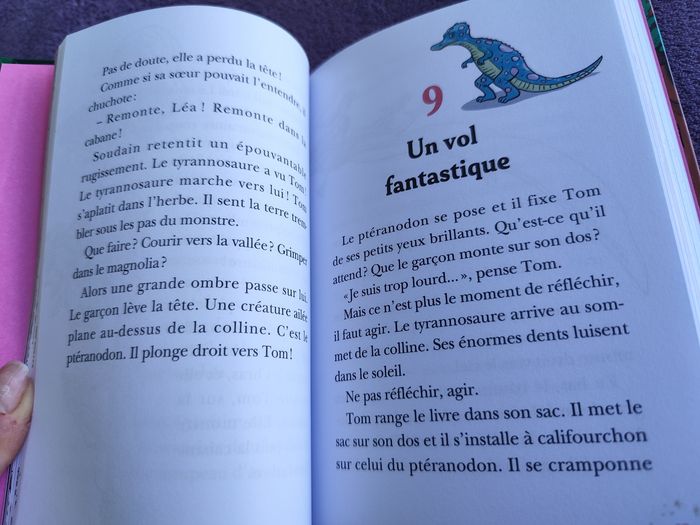 La cabane magique compilation tomes 1 à 4 collector - photo numéro 10
