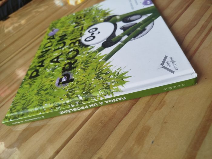 Panda a un problème - photo numéro 2