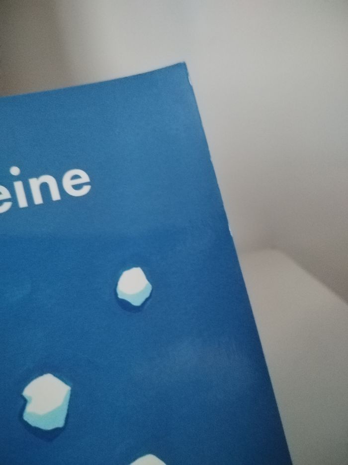 Livre : La mystérieuse baleine - photo numéro 10