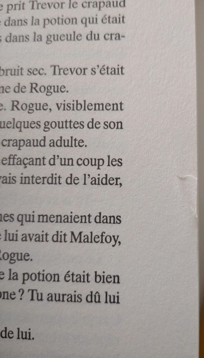 Harry Potter et le prisonnier d'Azkaban de JK Rowling - photo numéro 5