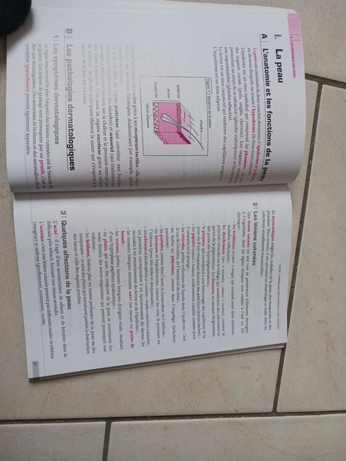 Livre terminologie médicale - photo numéro 2