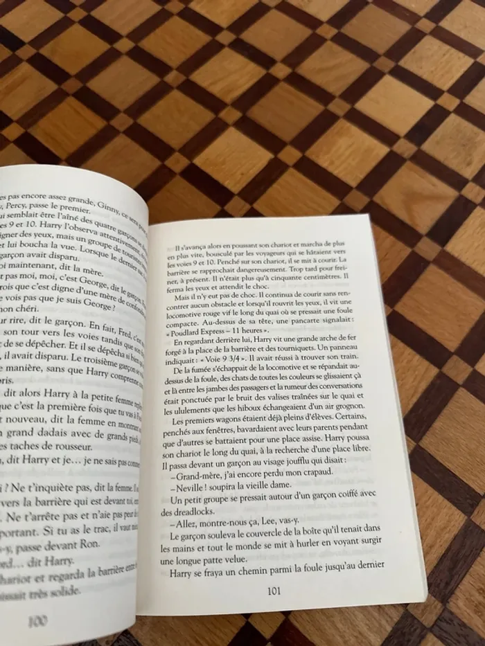 Livre Harry Potter à l’école des sorciers - photo numéro 3
