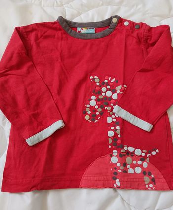 Lot tee-shirt 2 ans