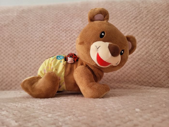 Petit ours éducatif