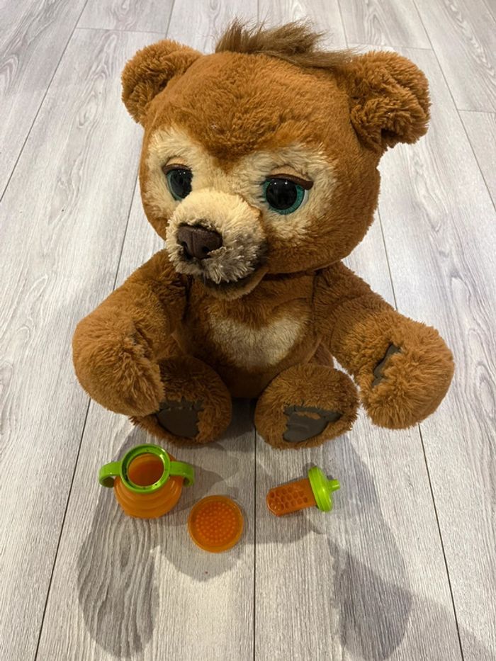 Cubby l’ours curieux