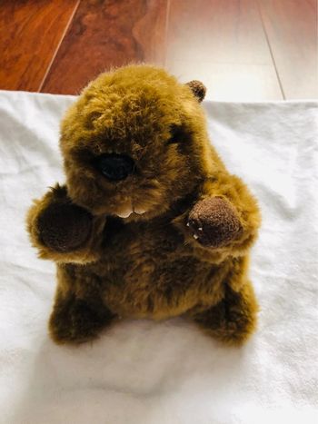 Peluche marmotte à piles