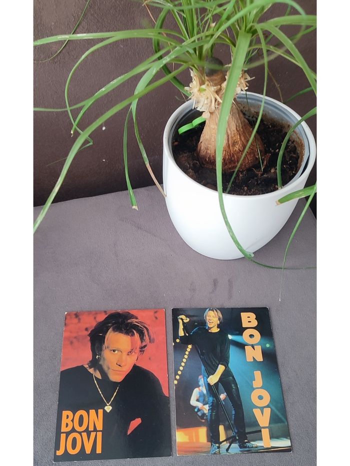 Lot de 2 cartes postales de Bon Jovi
