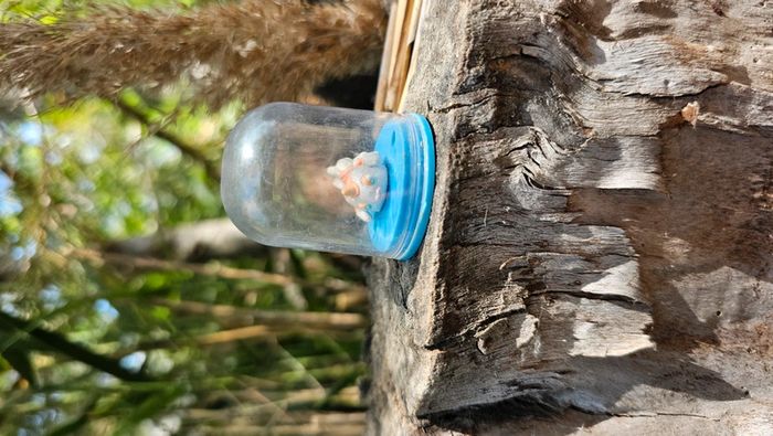 Super petite figurine Pokemon Nintendo Poissirène - photo numéro 4