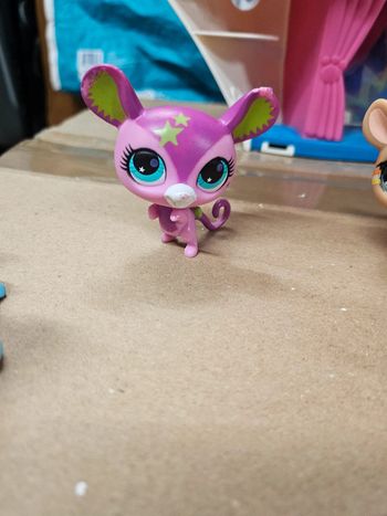 Pet shop souris 2731