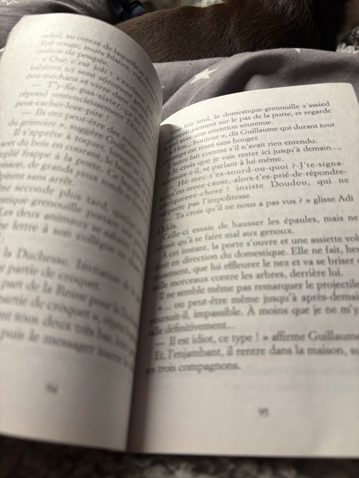 Livre la bibliothécaire - photo numéro 3