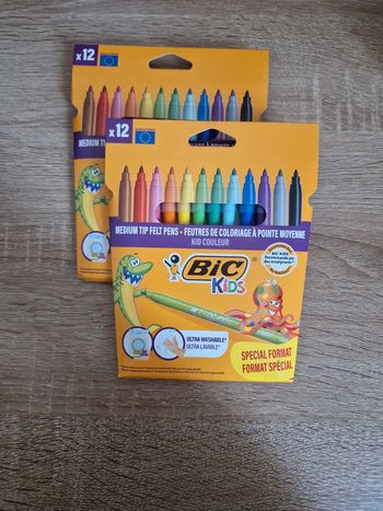 Lot 24 feutres bic