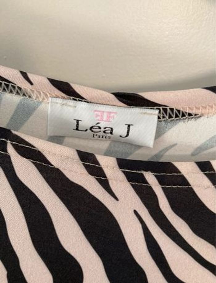 Robe zèbre - photo numéro 5