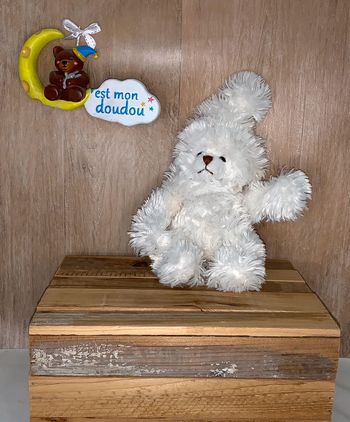 BK33 doudou ours 🐻 Bukowski