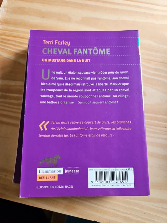 Livre cheval - photo numéro 4