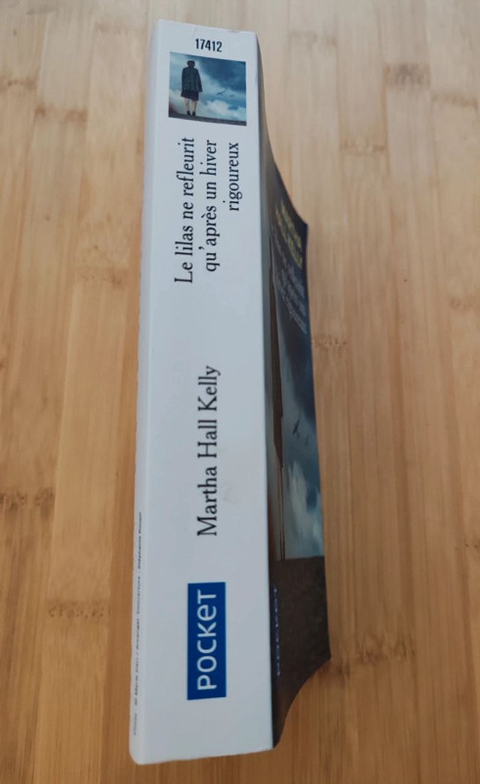 Martha Hall Kelly 🌸 Le lilas ne refleurit qu'après un hiver rigoureux - photo numéro 3