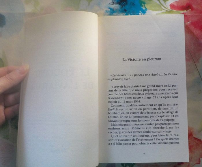 Le Foulard de l'aviateur de Charles Briand Ed. de Borée - photo numéro 6