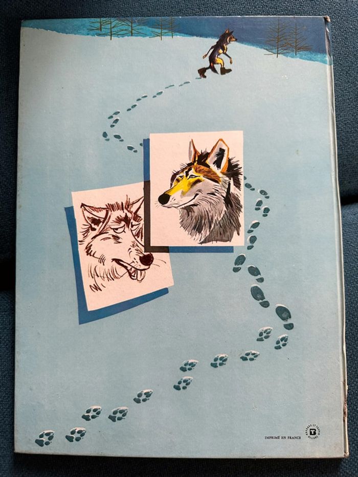 1966 Livre ancien Caroline et le dernier loup Pierre Probst auteur Caroline Grands albums Hachette - photo numéro 2