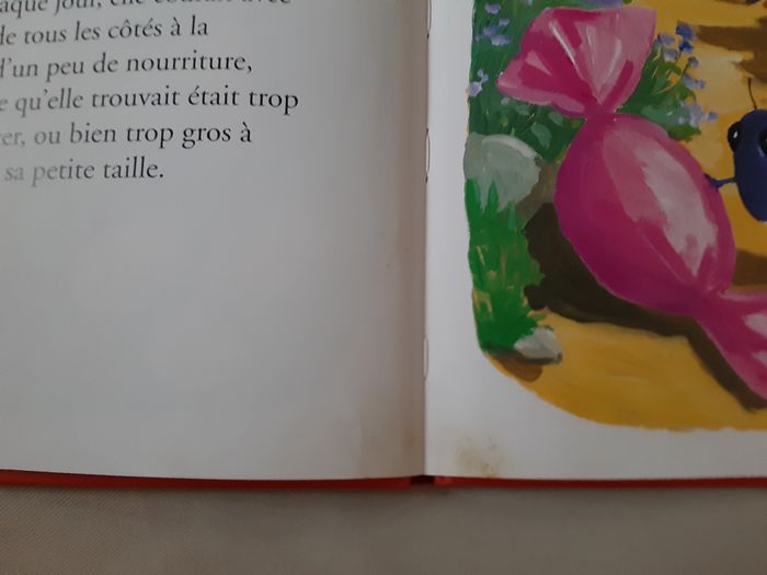 2 livres enfant - Patouch la Mouche et Marie la Fourmi - Les drôles de Petites Bêtes - Antoon Krings - photo numéro 6
