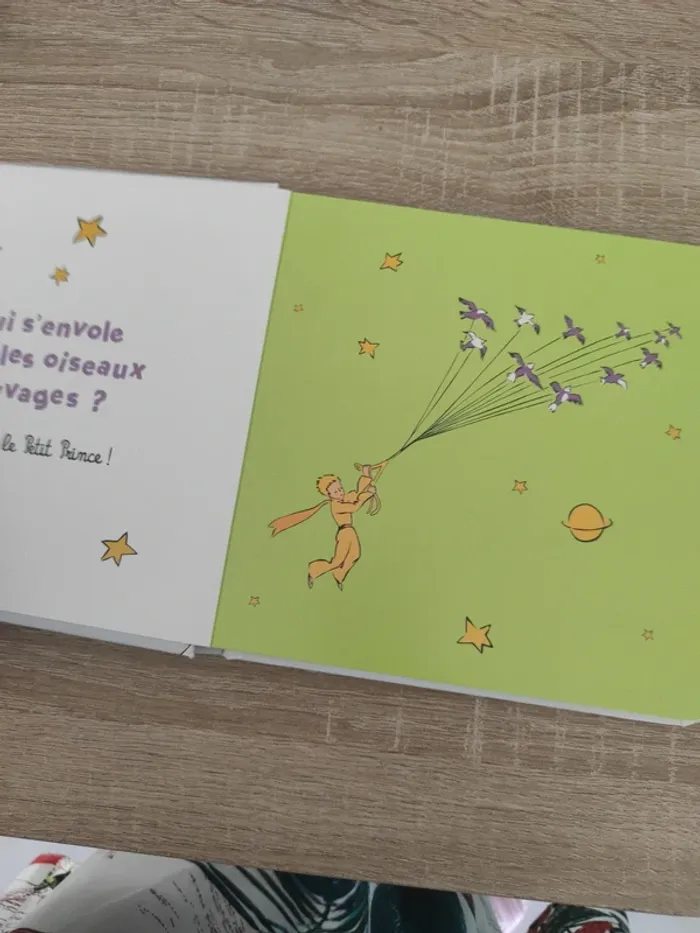 Livre bebe - photo numéro 2