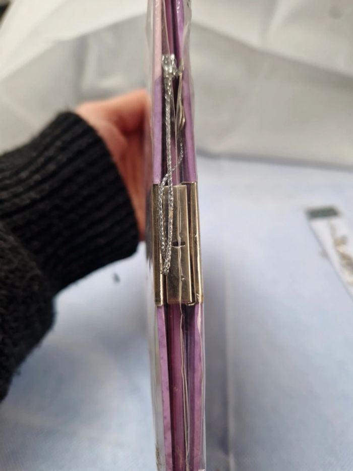 Carnet secret princesse Miya - photo numéro 2