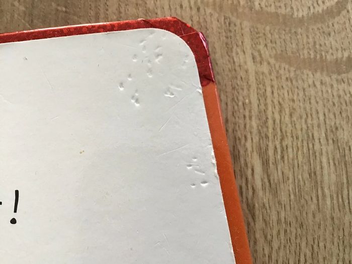 Les camions - photo numéro 4