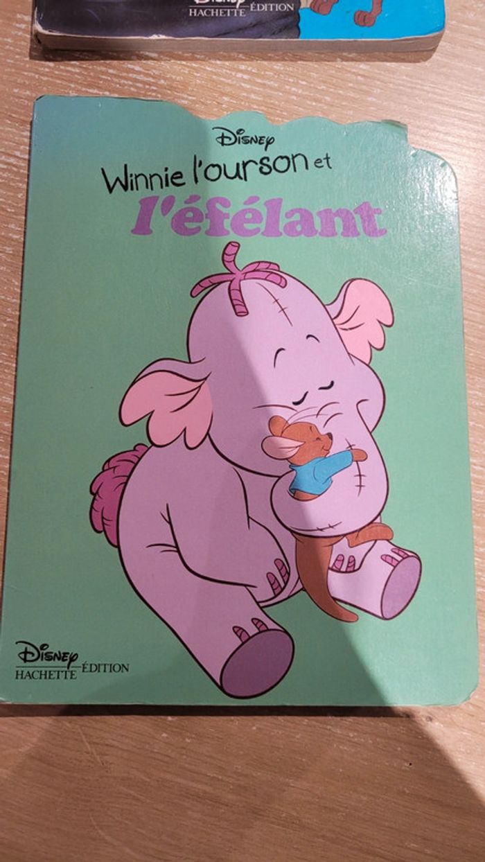 Lot 2 livres - photo numéro 2