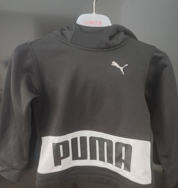 Pull Puma