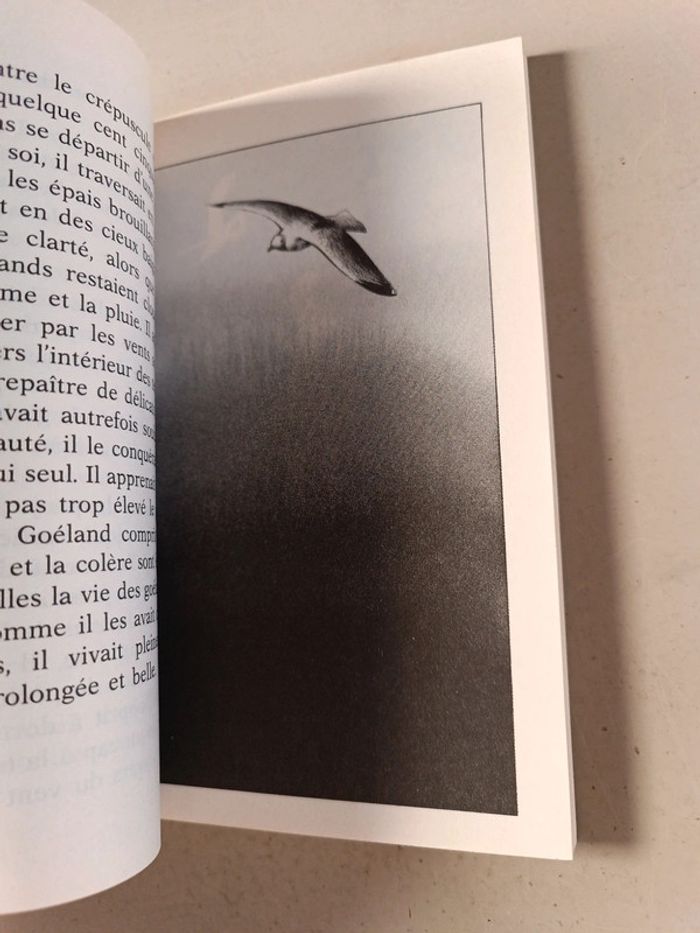 Jonathan Livingston le goéland de Richard Bach - photo numéro 11