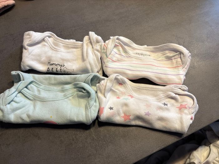 Lot 4 bodies